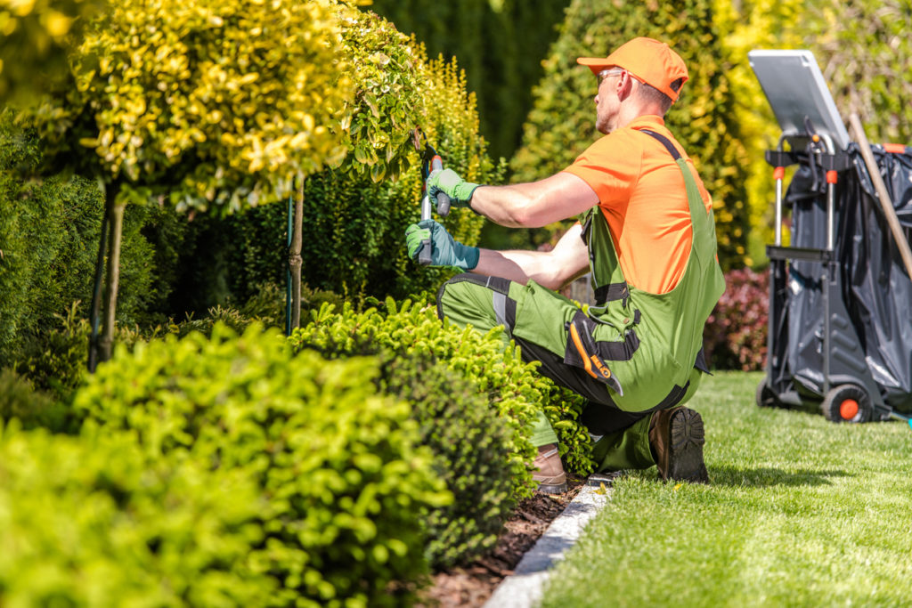 landscaping work order software